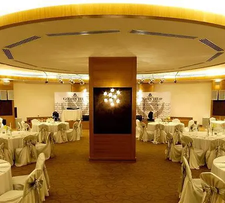 Grand Pasha Luxury & Casino